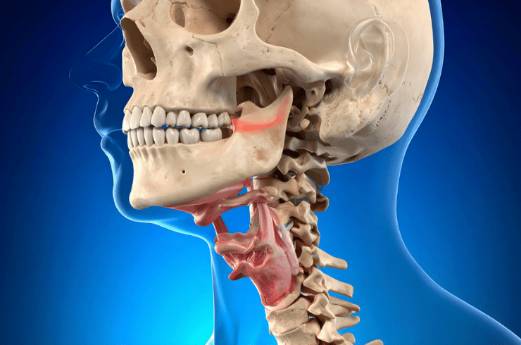 Facial trauma and reconstruction